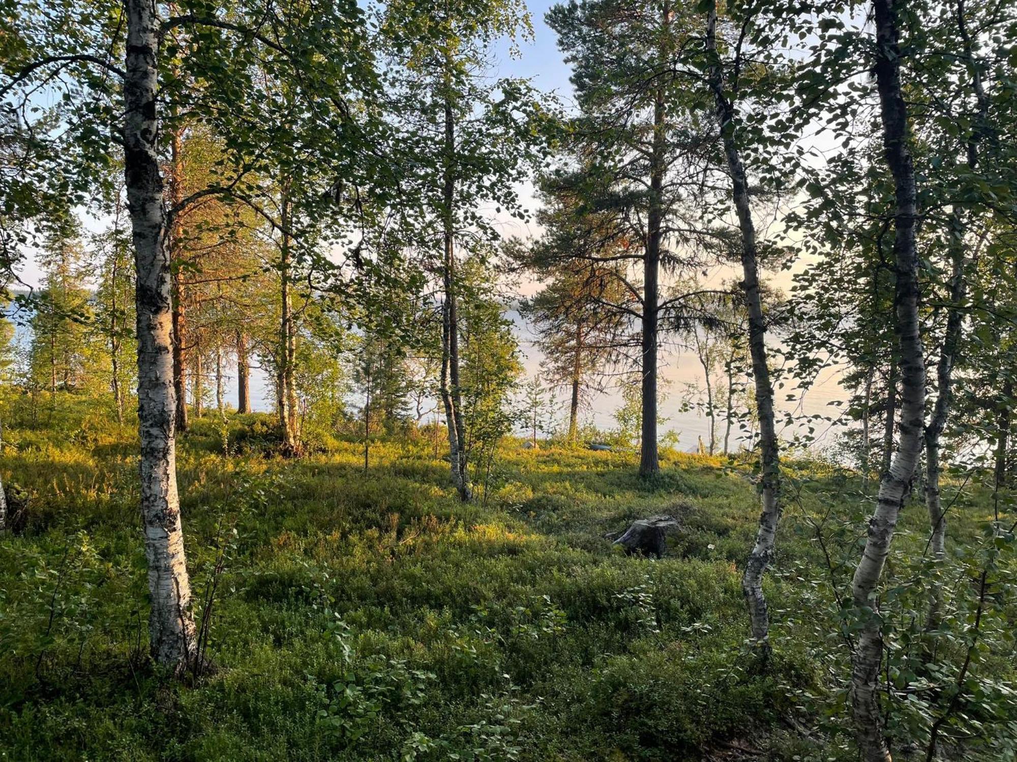 Lapland Dream Villas Rauhala Exterior foto